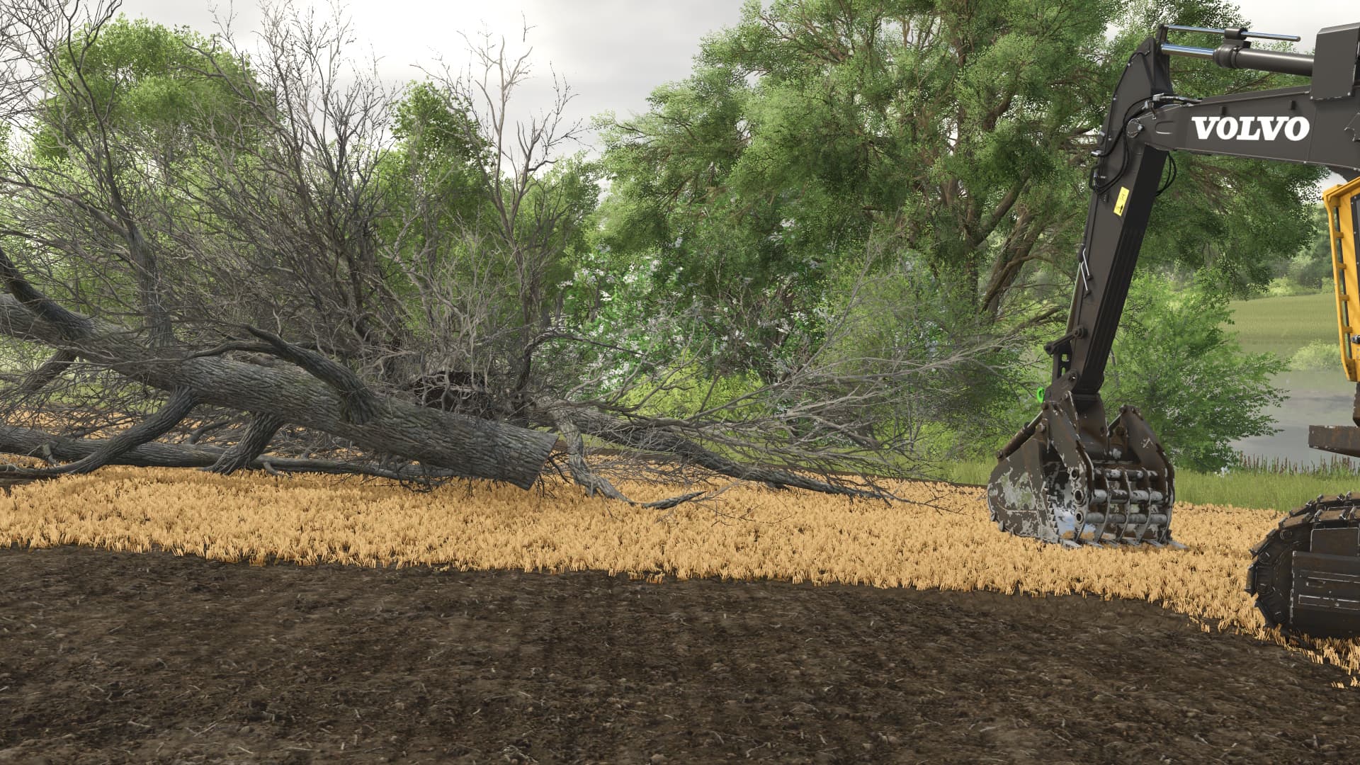 Land Clearing 4