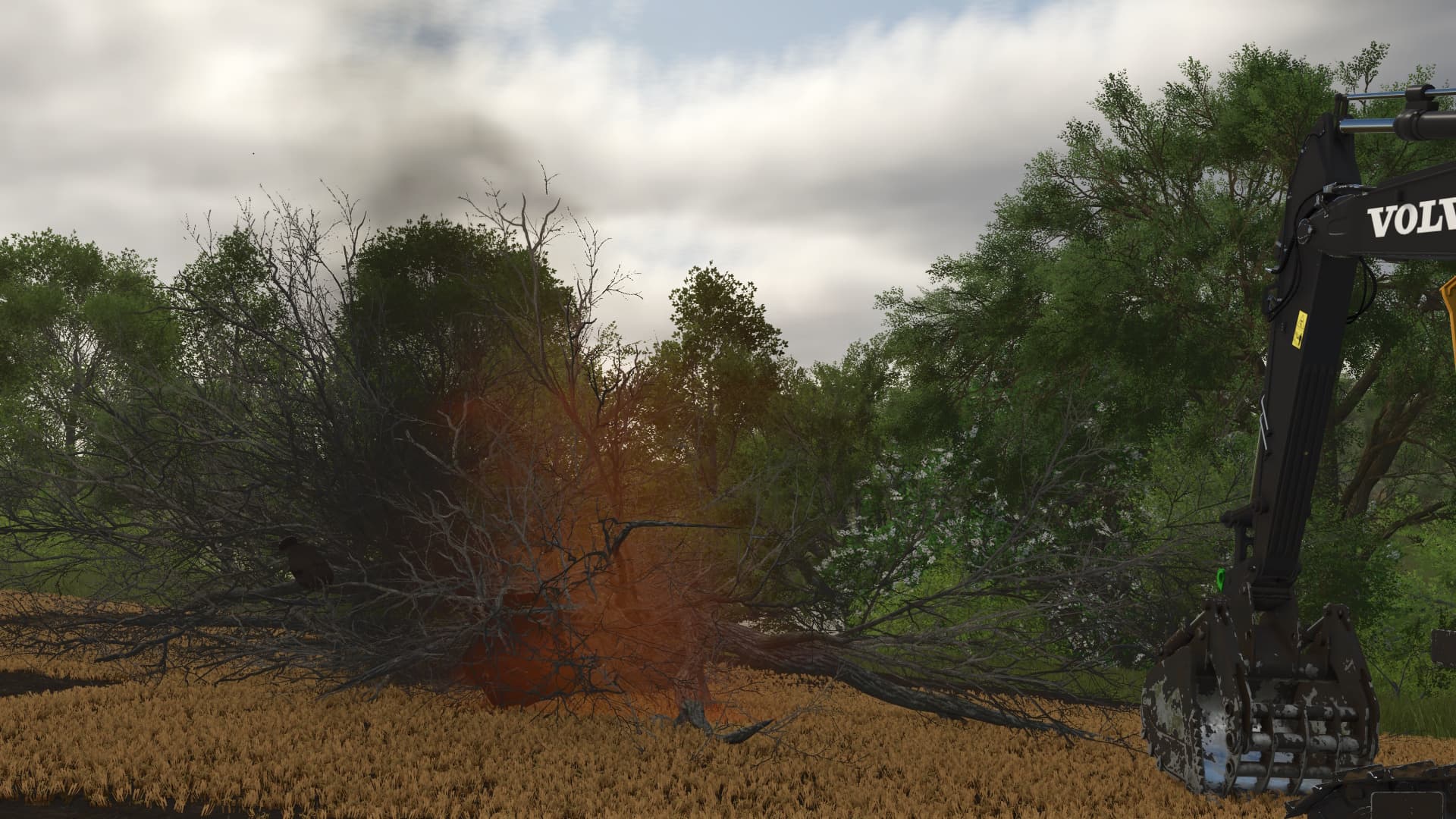 Land Clearing 3