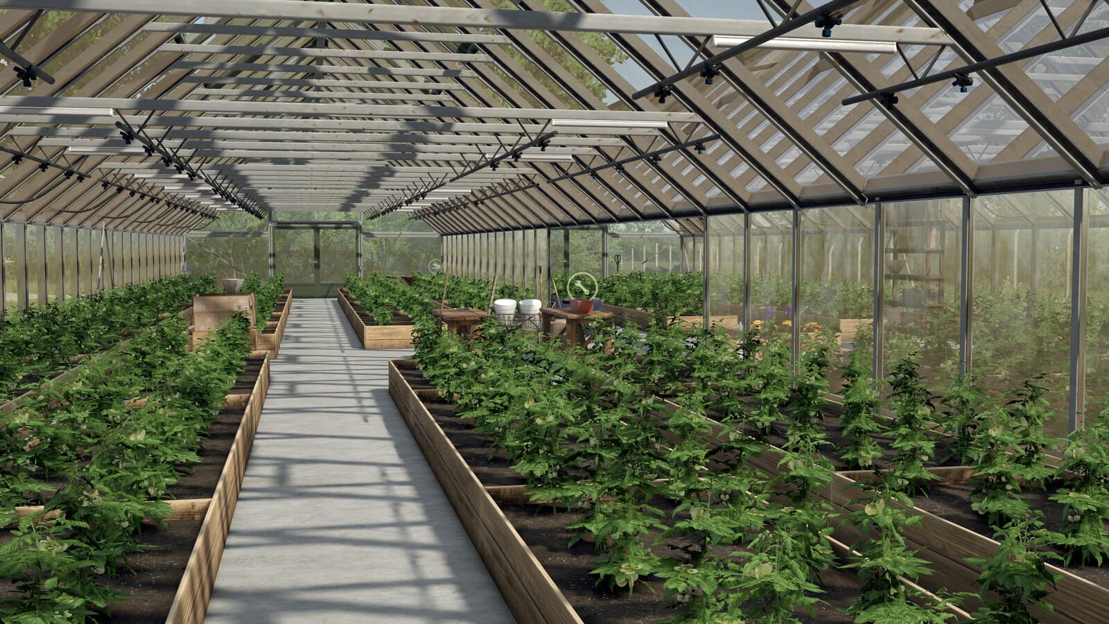 Large Glass Greenhouse Package 3