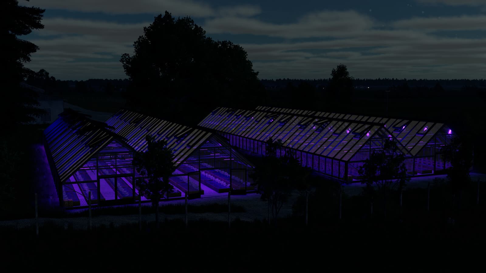 Large Glass Greenhouse Package 2