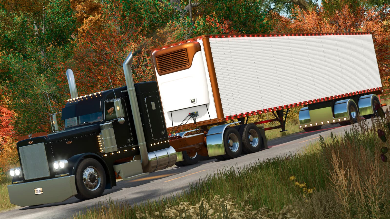 Lizard Dry Van Freezer Trailer 3