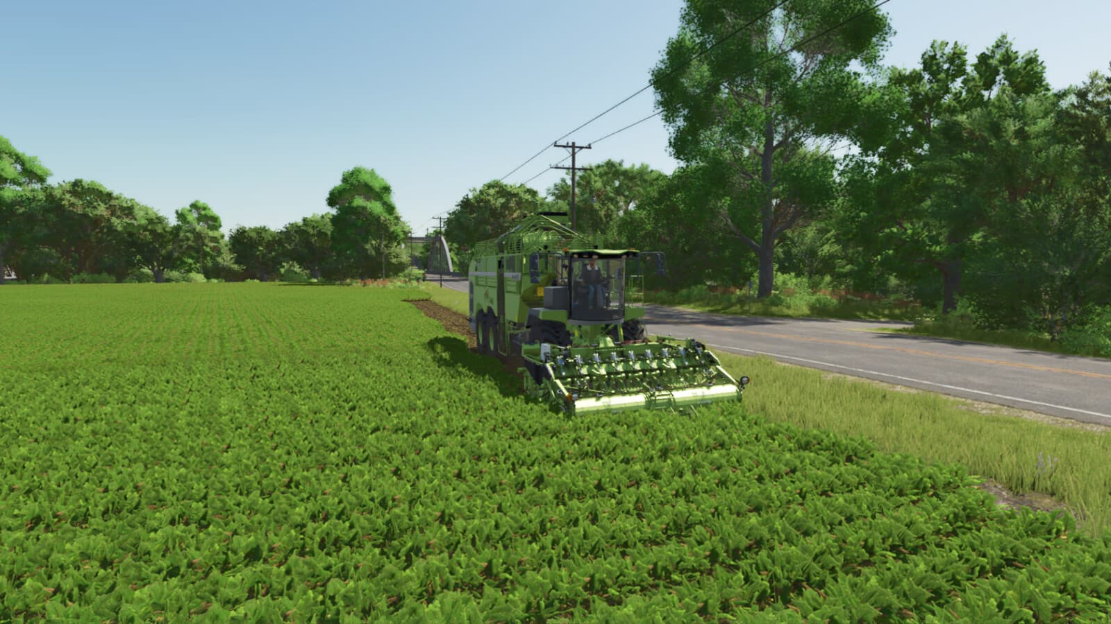 Lizard HarvestGIANT 5