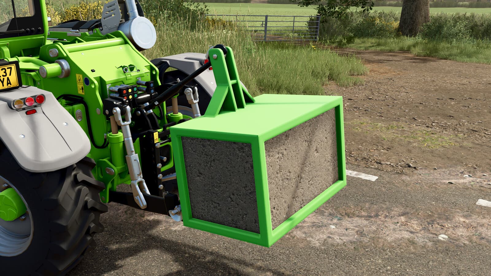 Lizard Homemade 1900 Kg Weight 3