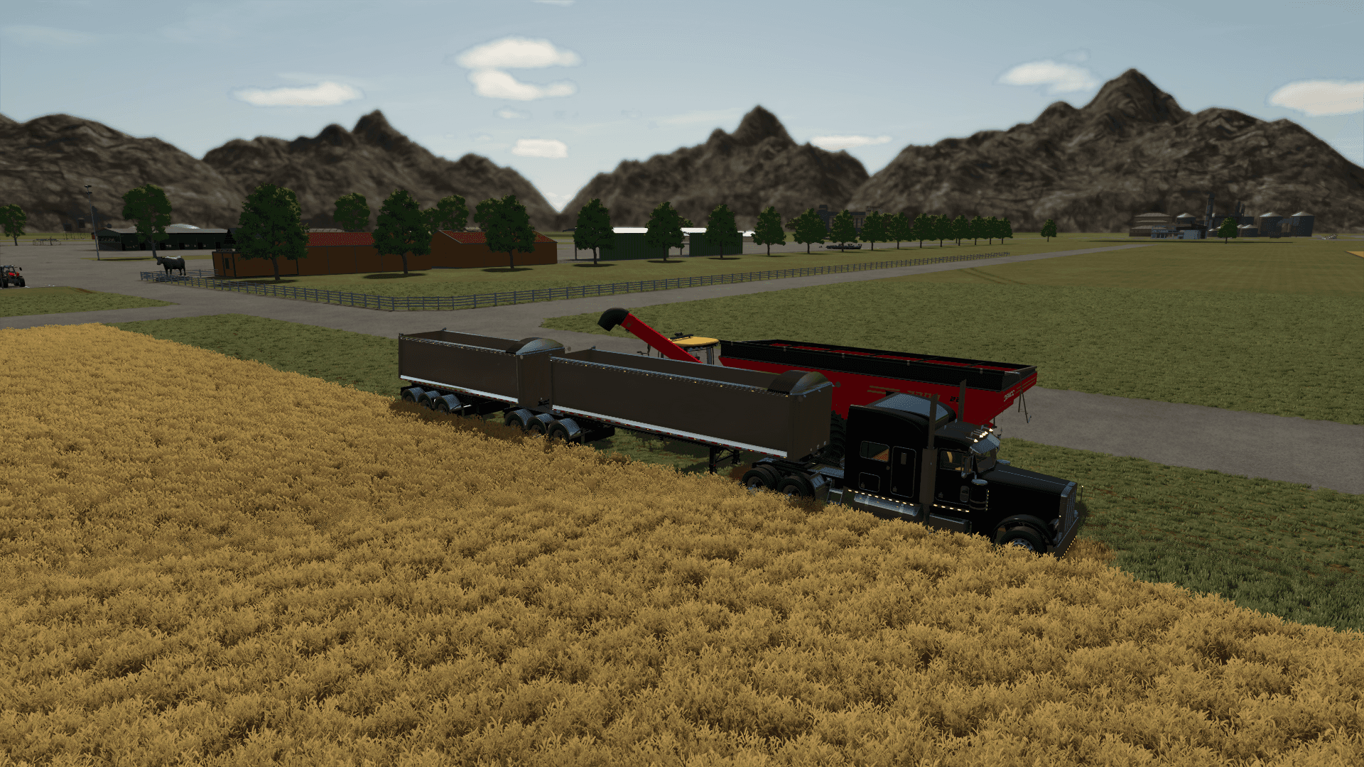 Lizard Truckin 379 3