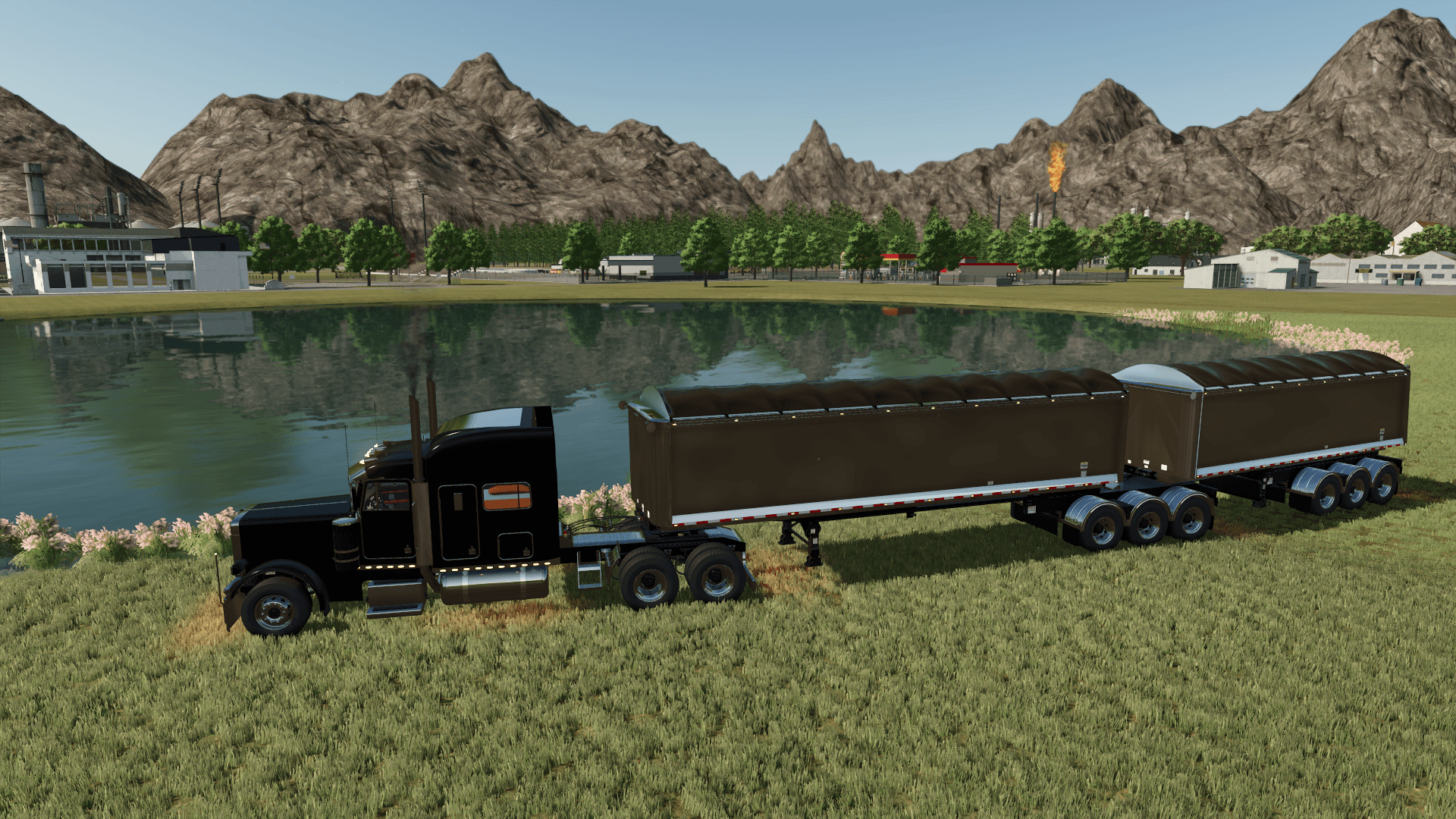 Lizard Truckin 379 2