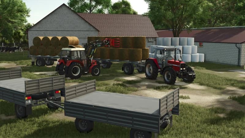 MF 3115 2