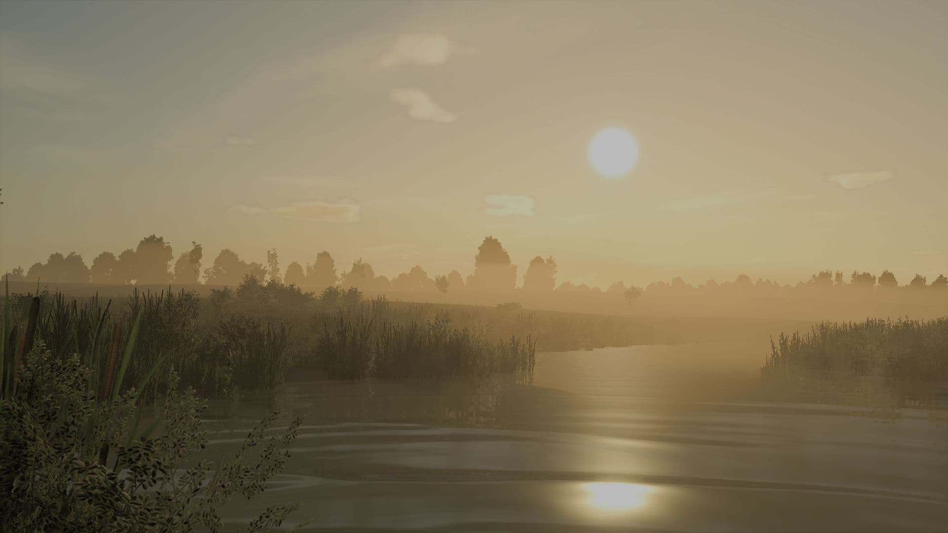 Oświetlenie & Preset Czarny317 (Shader) 5
