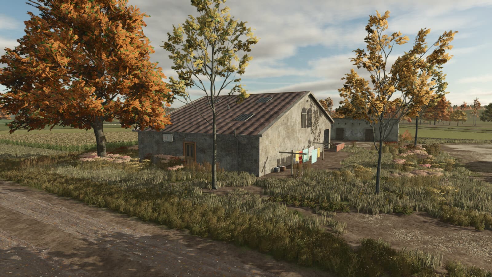 Old House 4