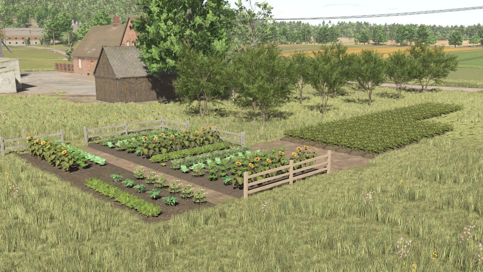 Polish Garden 3