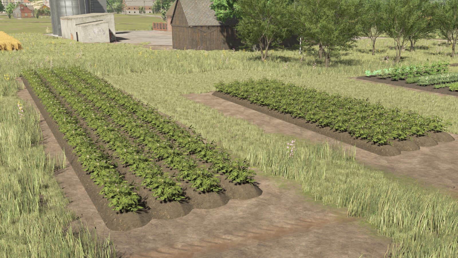 Polish Garden 2