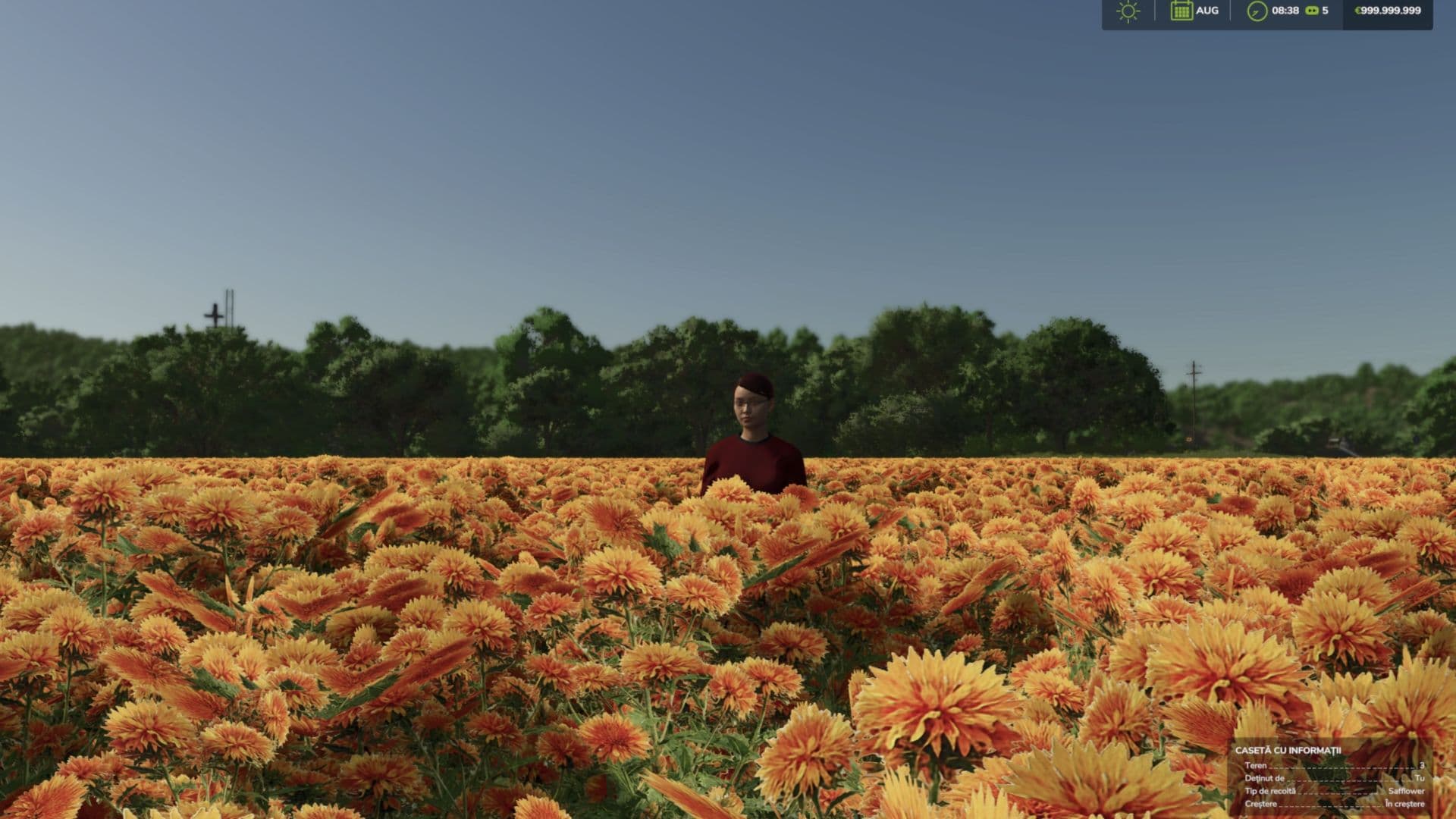 Safflower (Prefab) 5