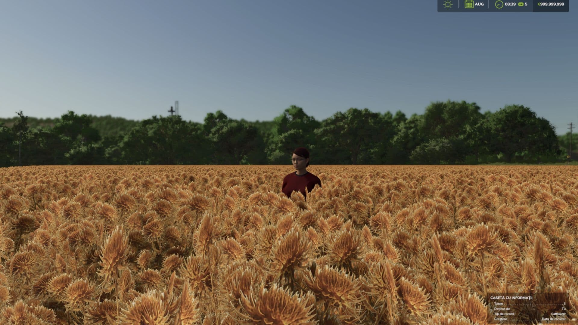 Safflower (Prefab) 4
