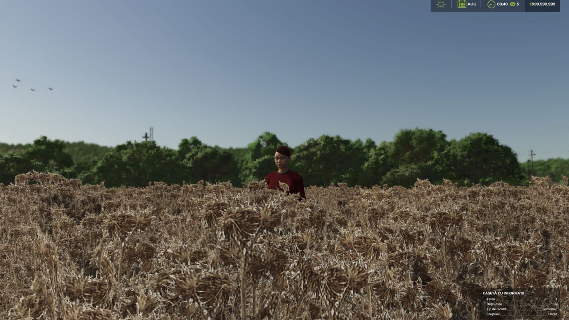 Safflower (Prefab) 3
