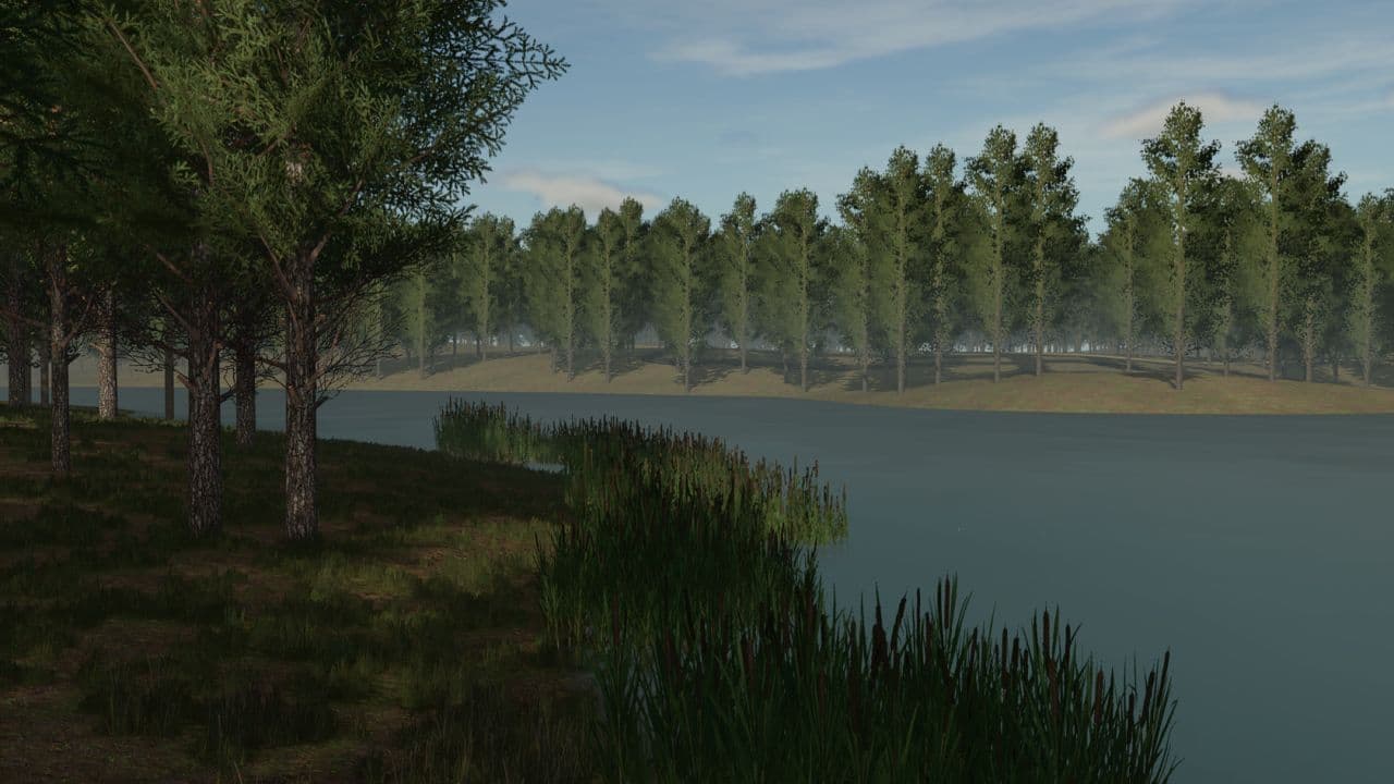 Staby Forest