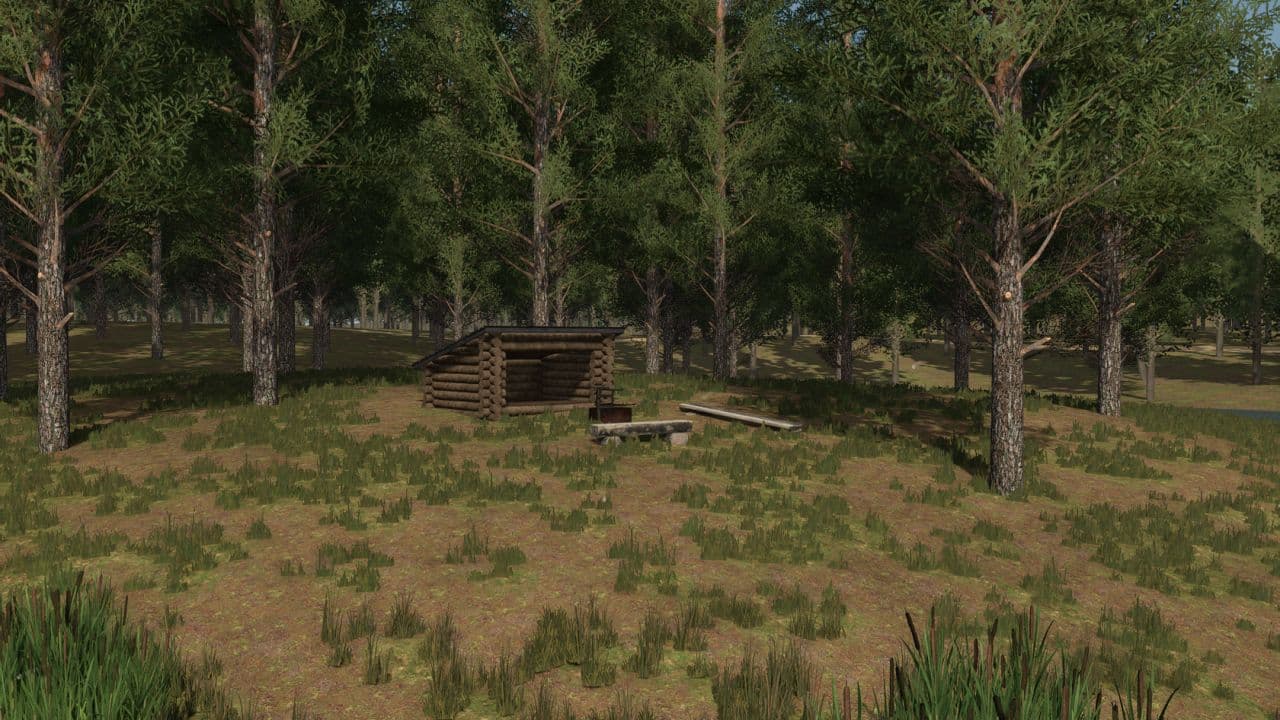 Staby Forest 5