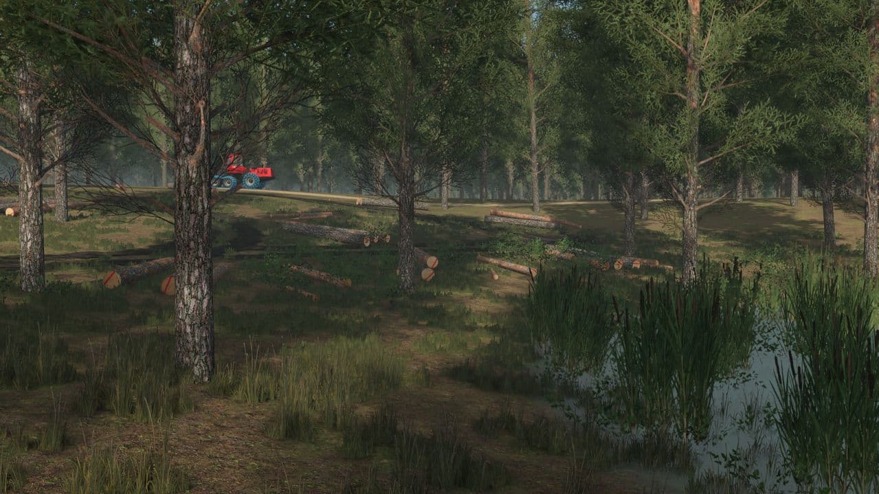 Staby Forest 4