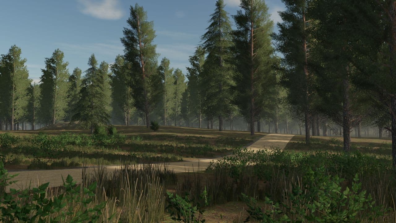 Staby Forest 3