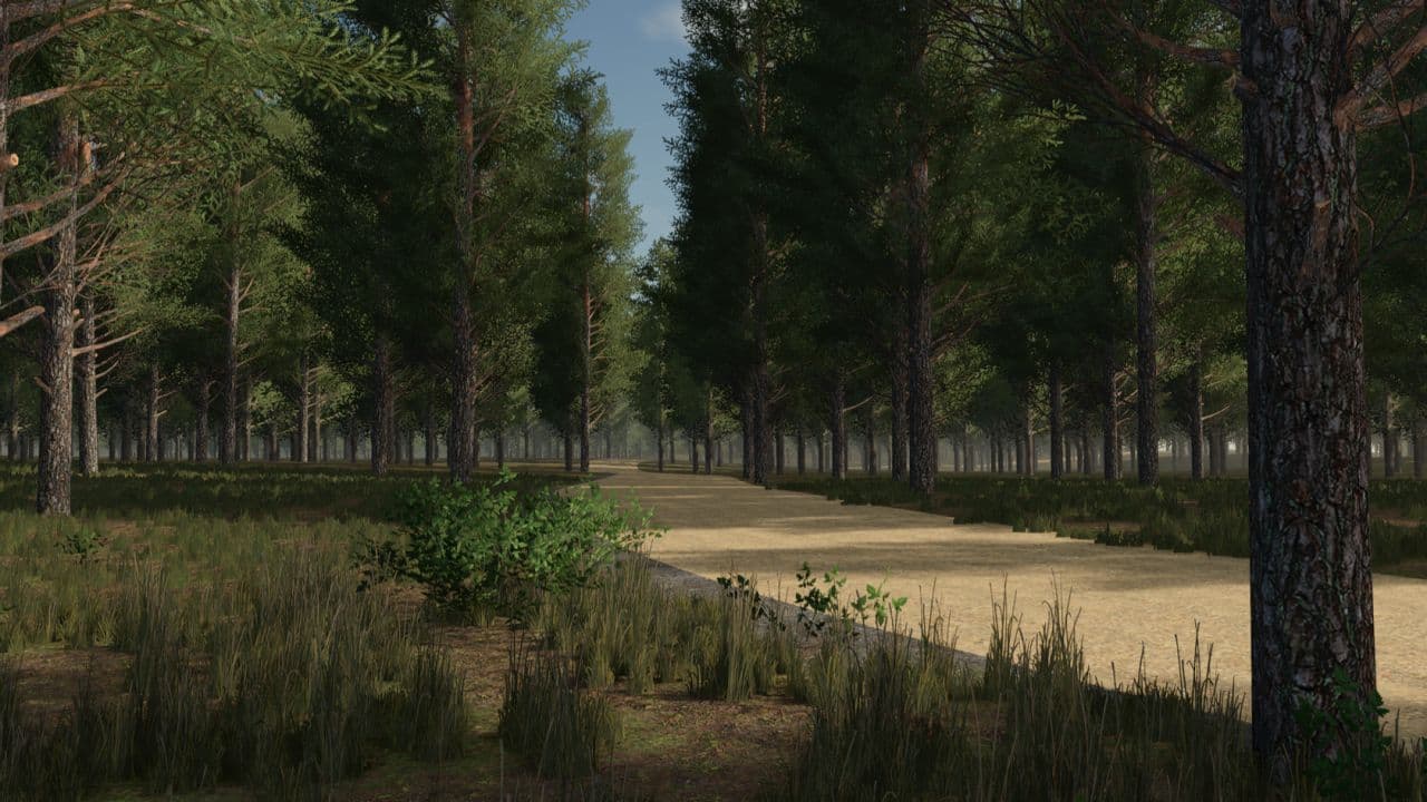 Staby Forest 2