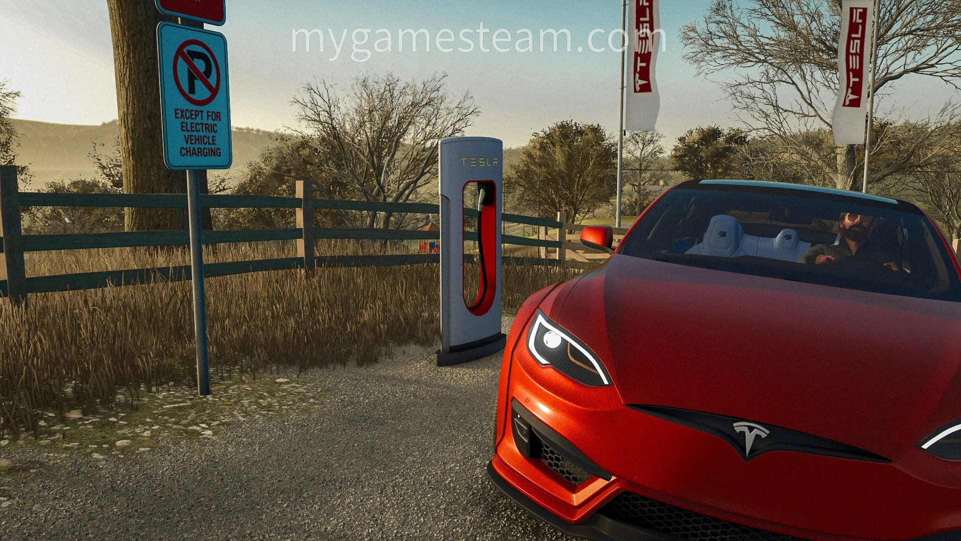 Tesla SuperCharger 7