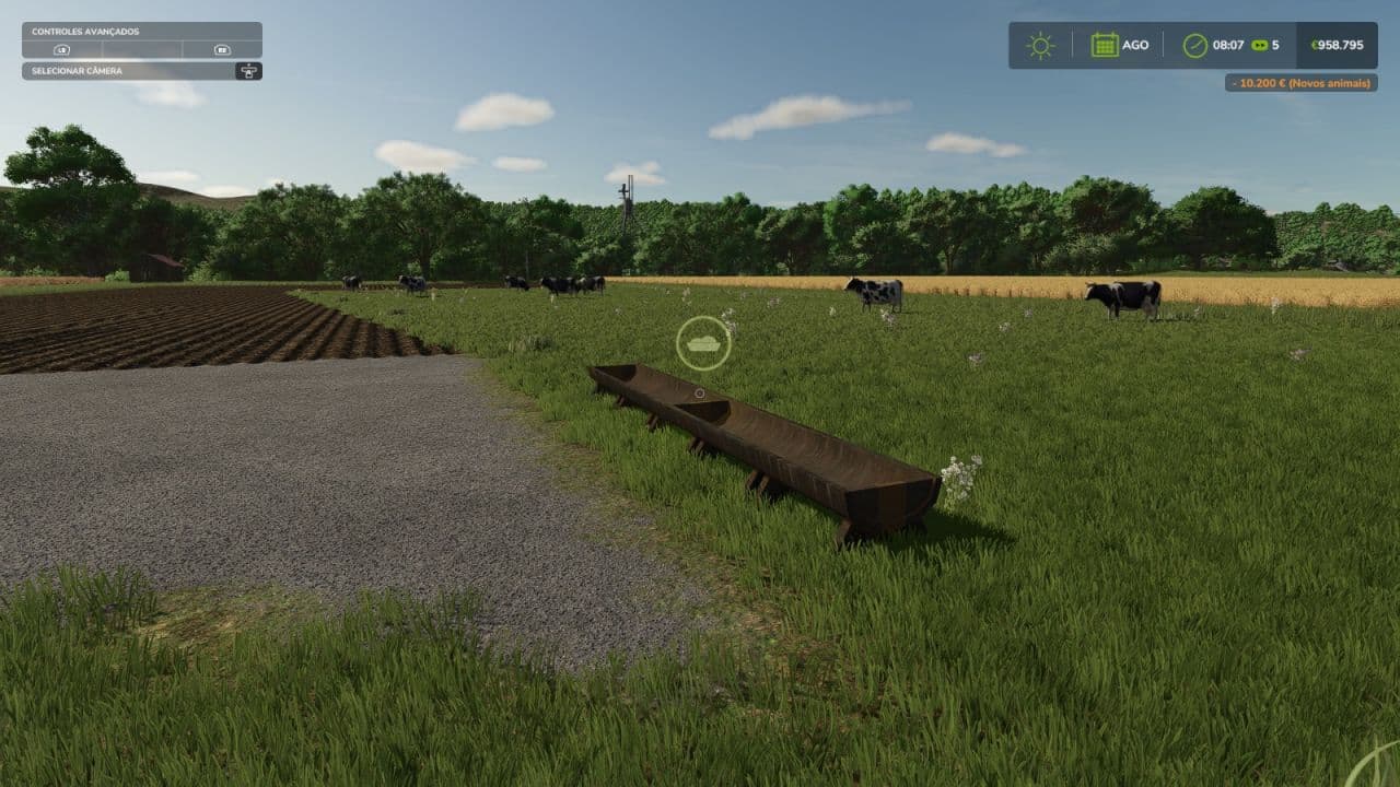 Trough to decorate pasture