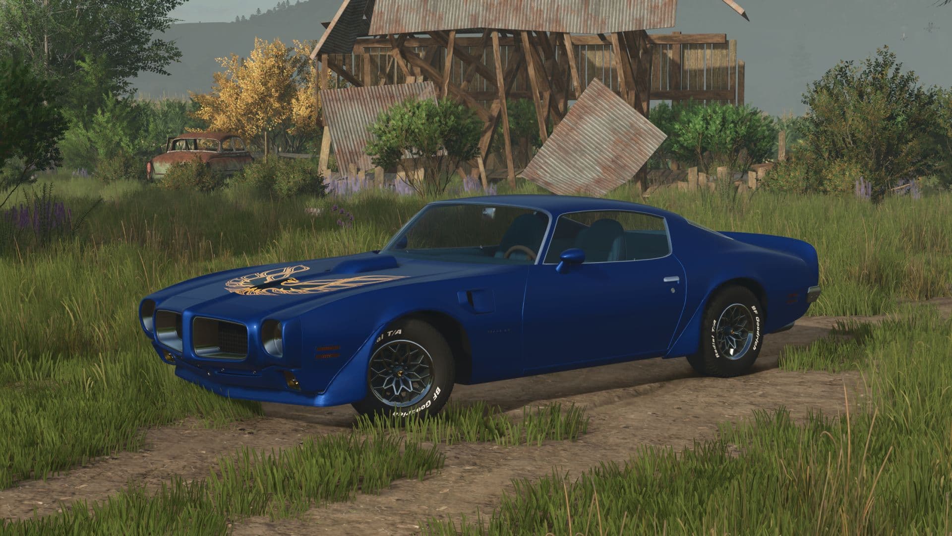 1970 Pontiac Firebird 3