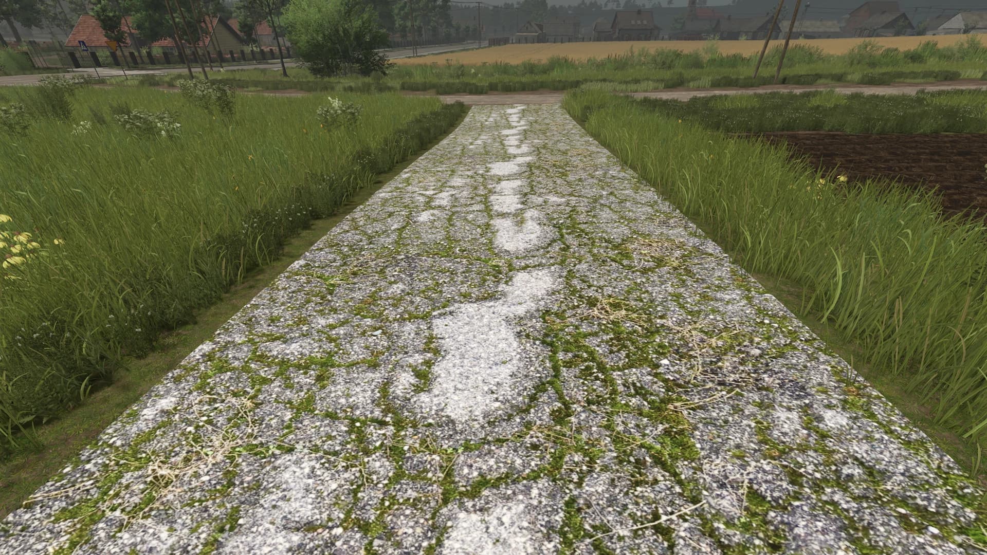 Asphalt and Paved Roads 6