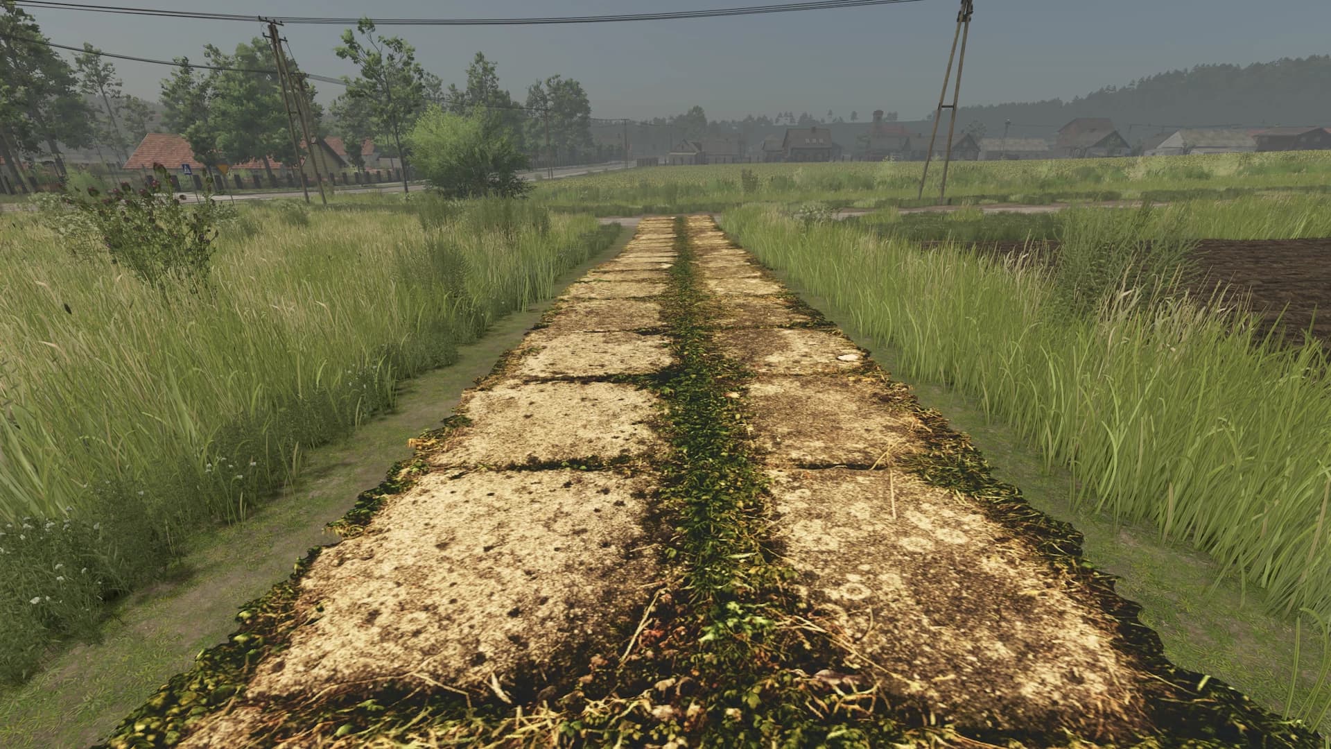 Asphalt and Paved Roads 5