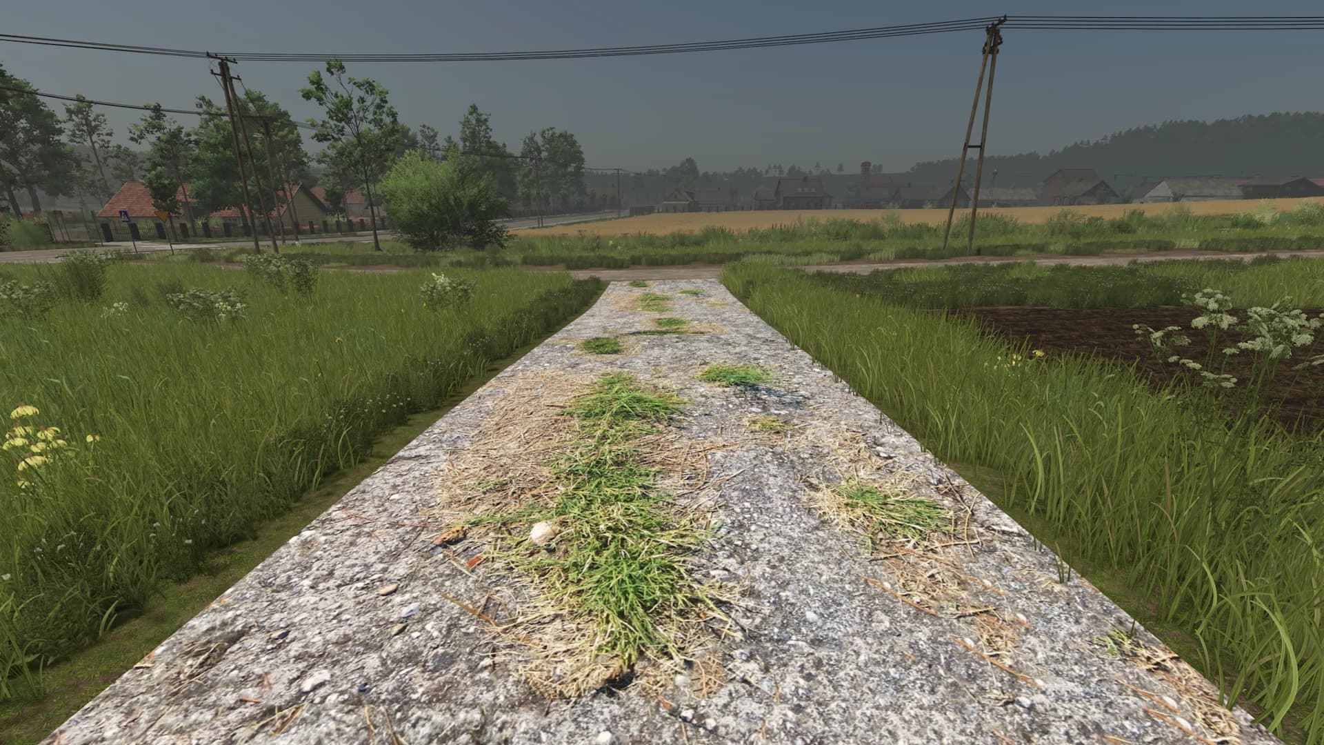 Asphalt and Paved Roads 4