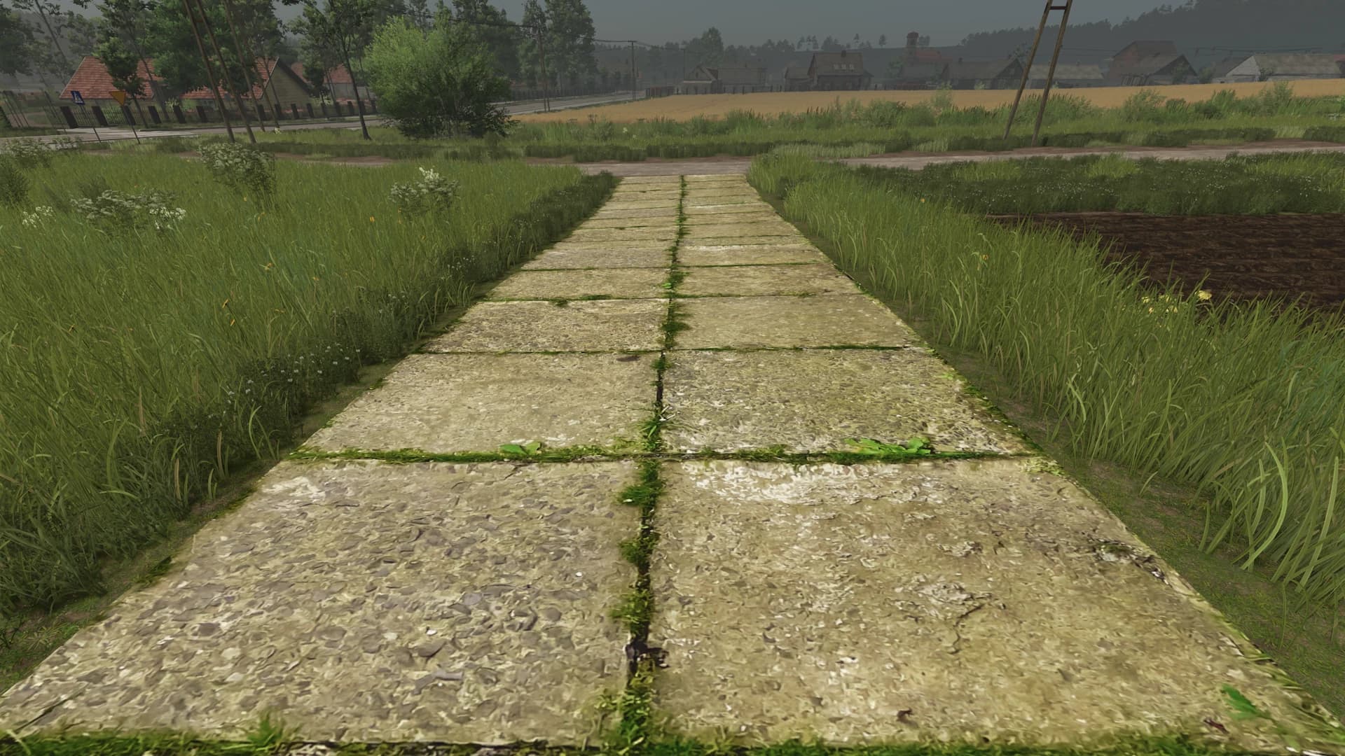 Asphalt and Paved Roads 3