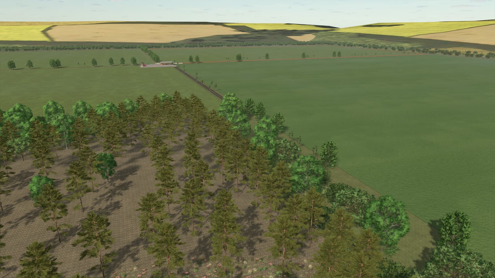 Cows Farm 3