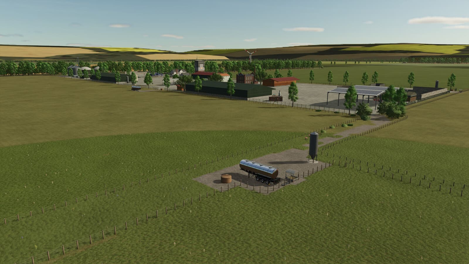 Cows Farm 3