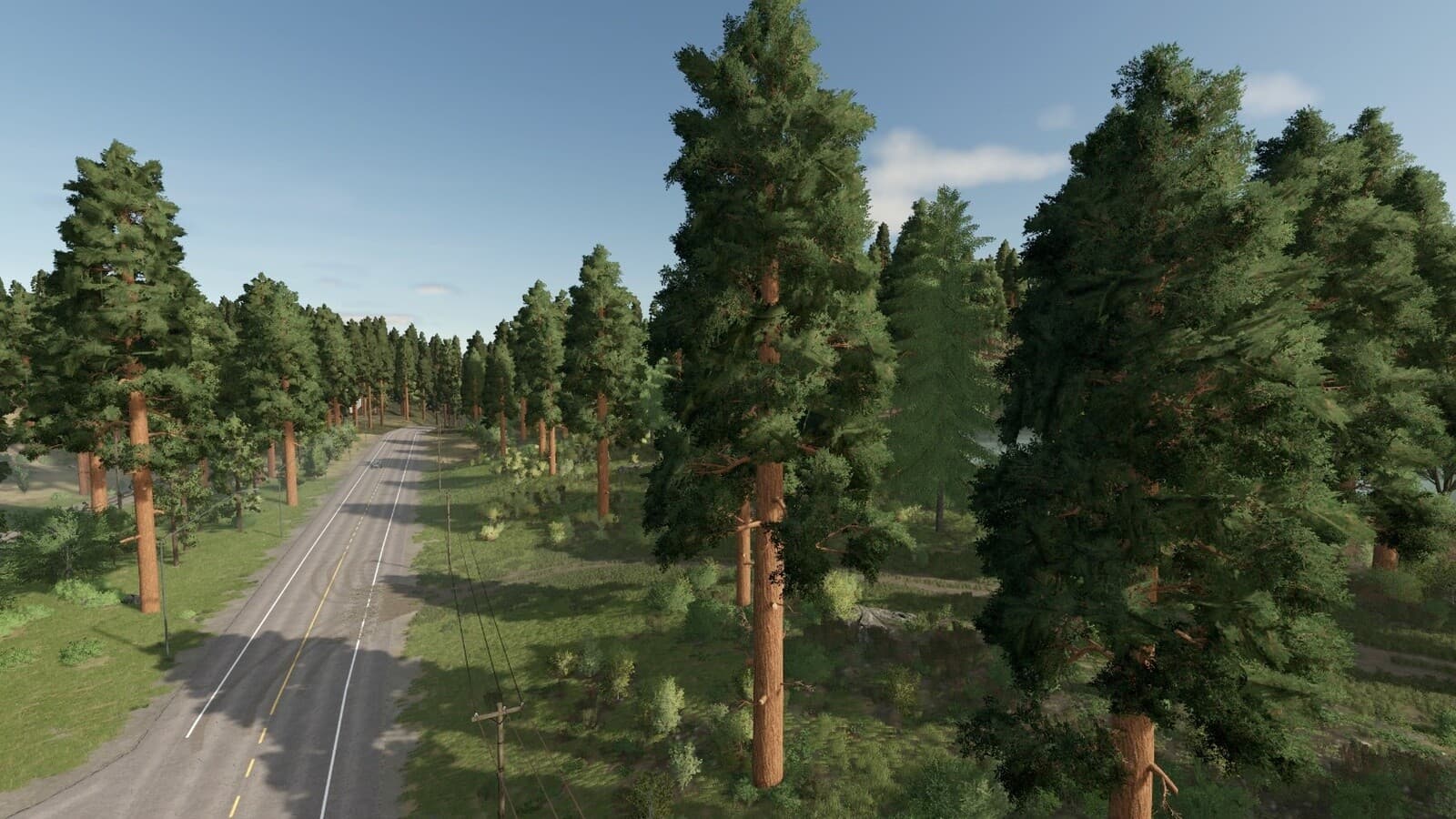 Forester 2
