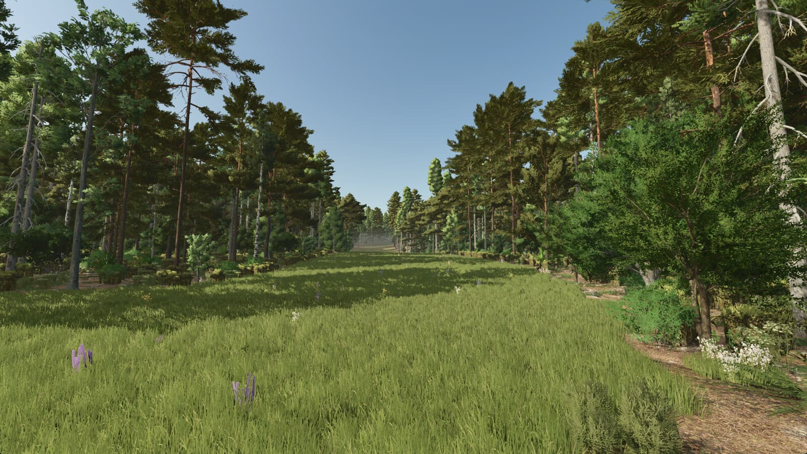 Homestead 2