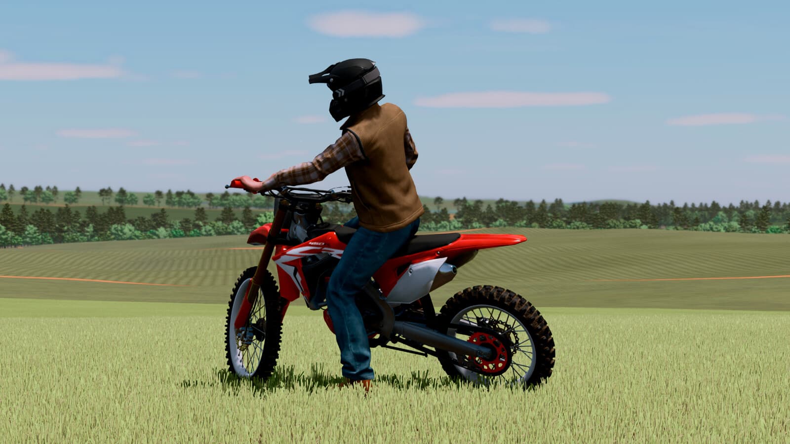 LIZARD CRF 450R 6