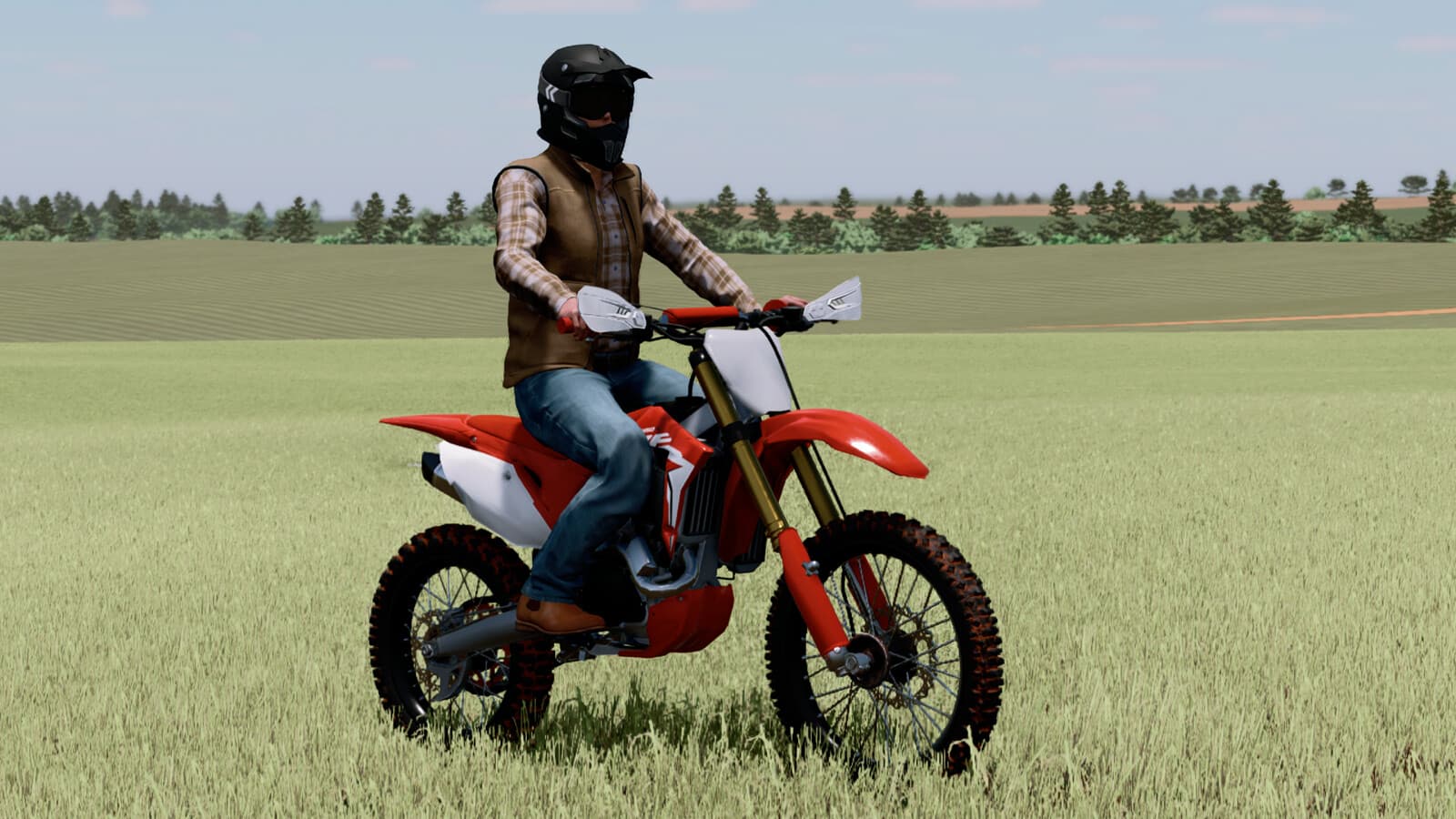 LIZARD CRF 450R 5