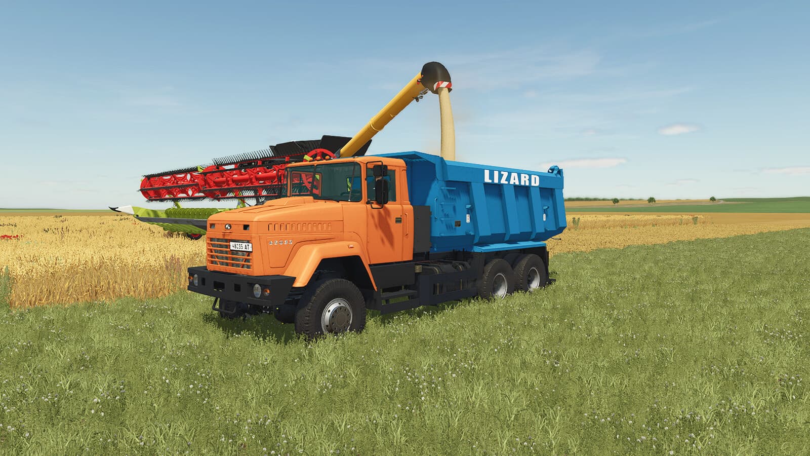 Lizard 65032 4