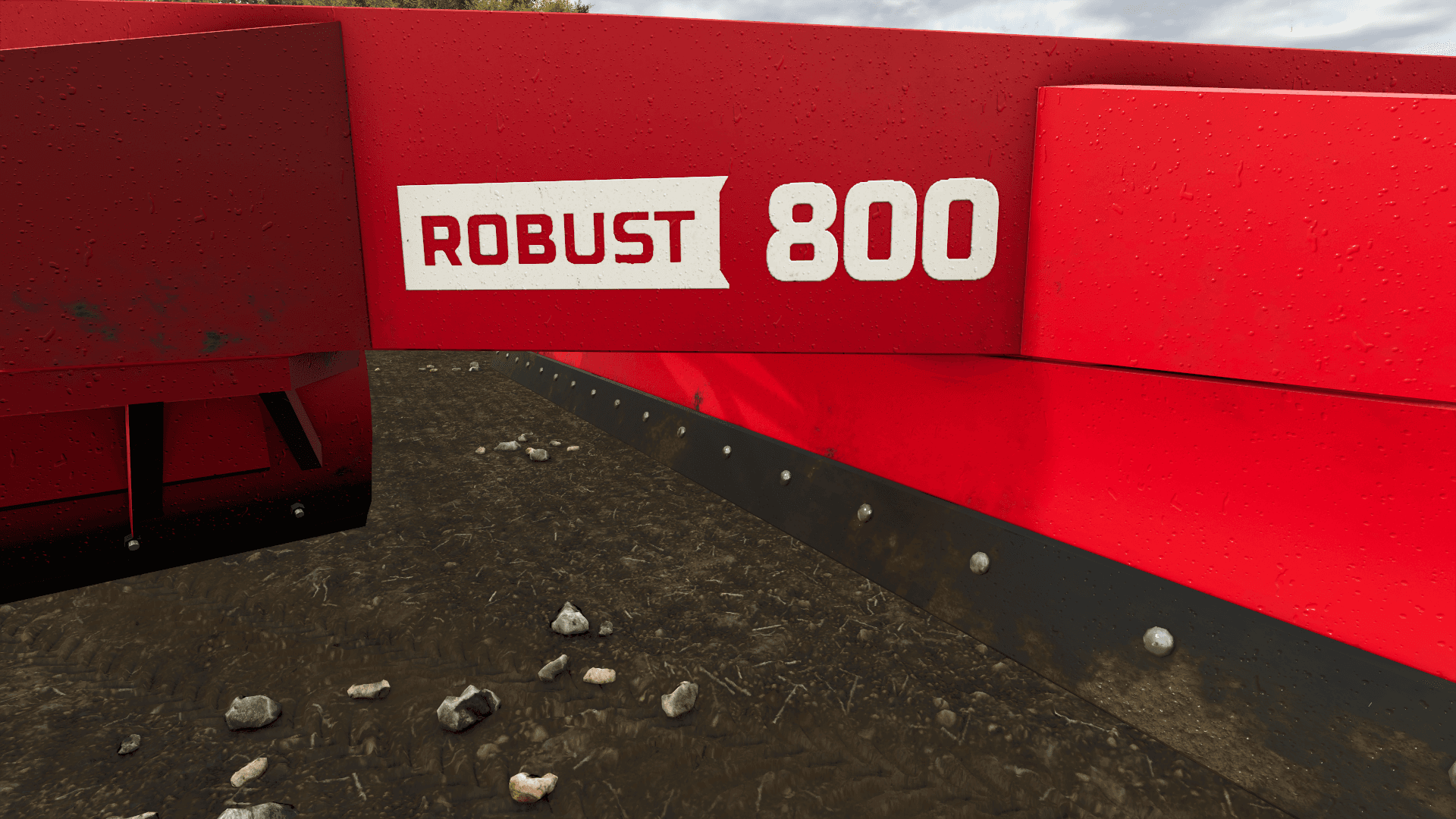 Lizard Robust 800 6