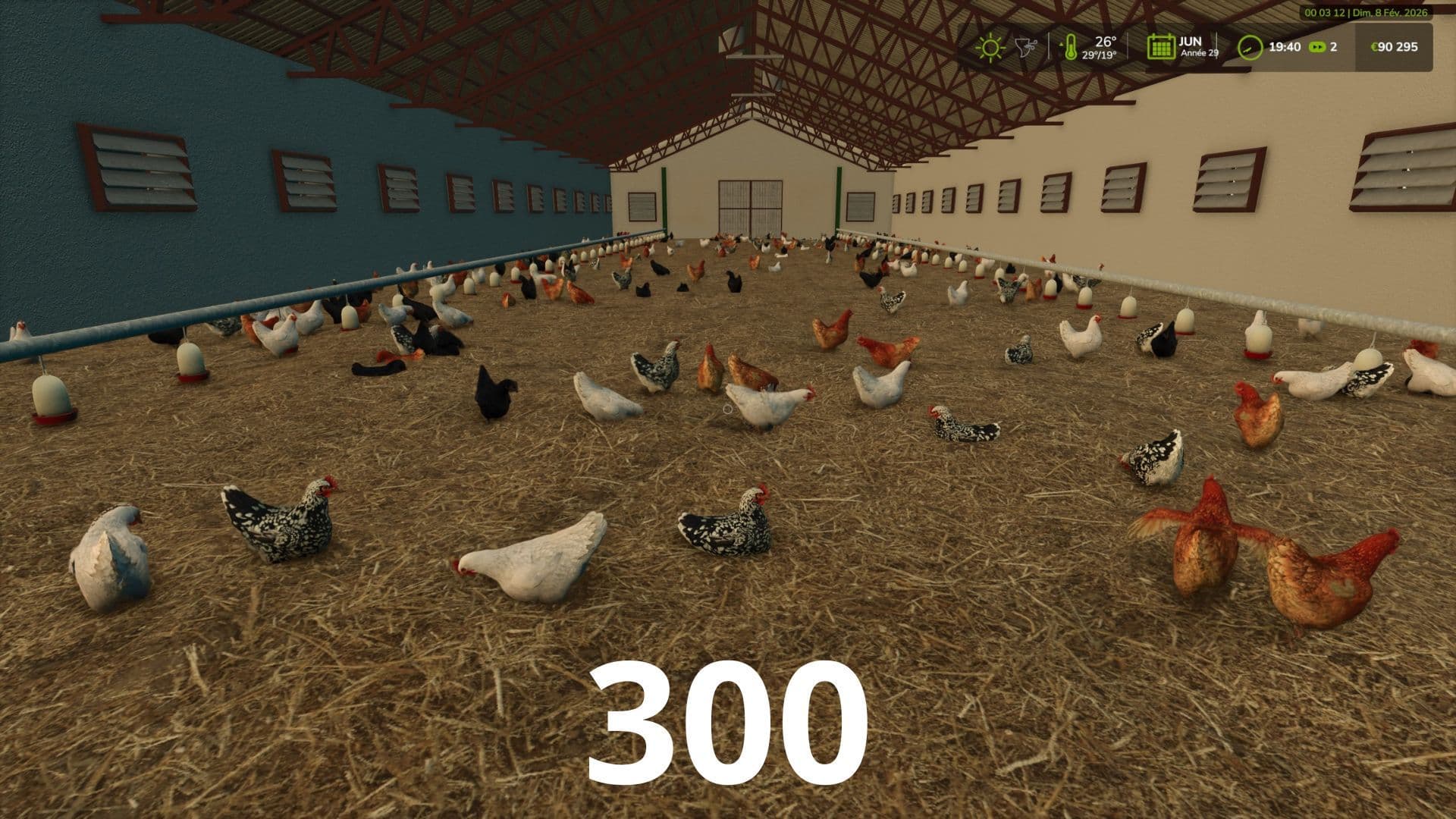 More visual animals 2