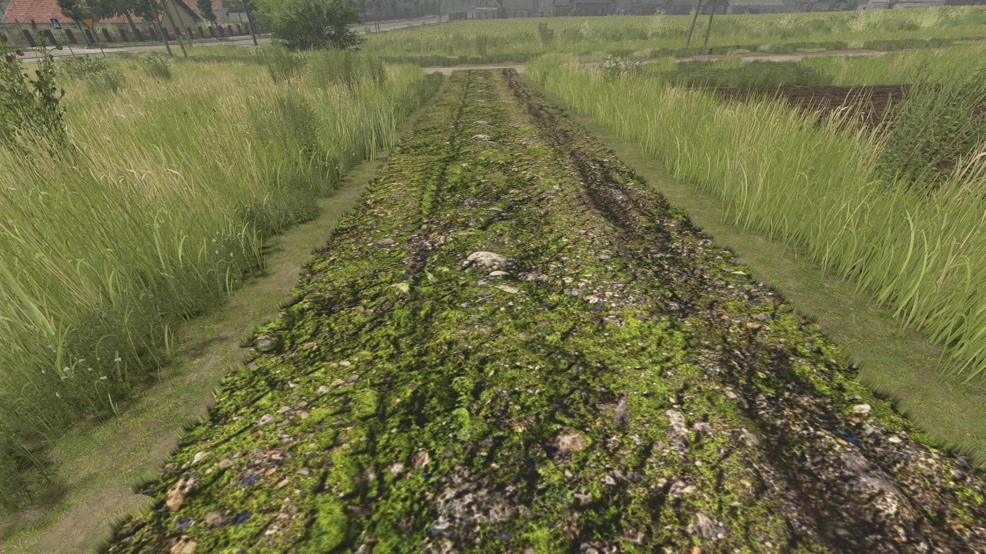 Mud and cobblestone Roads 6