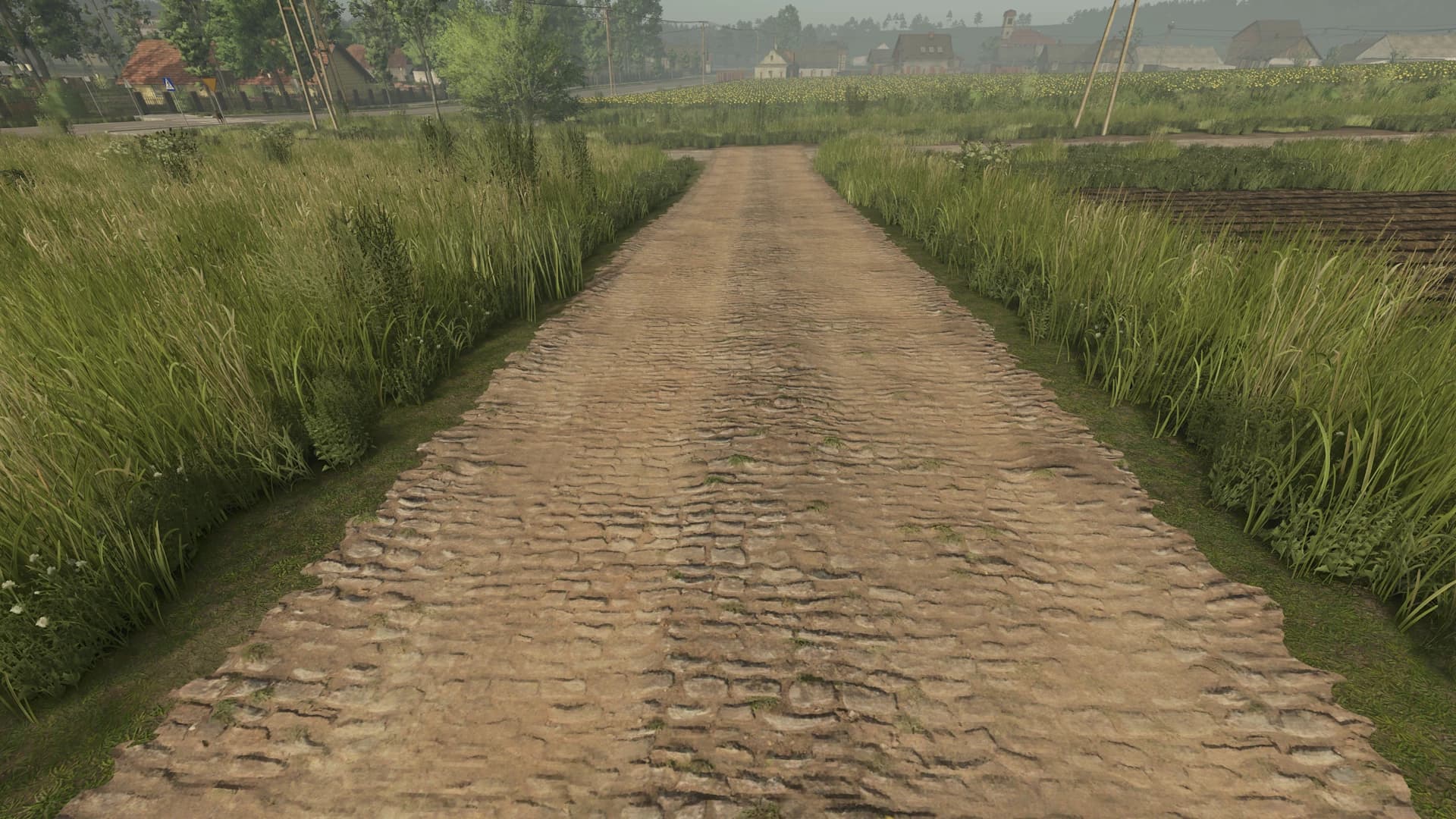 Mud and cobblestone Roads 5