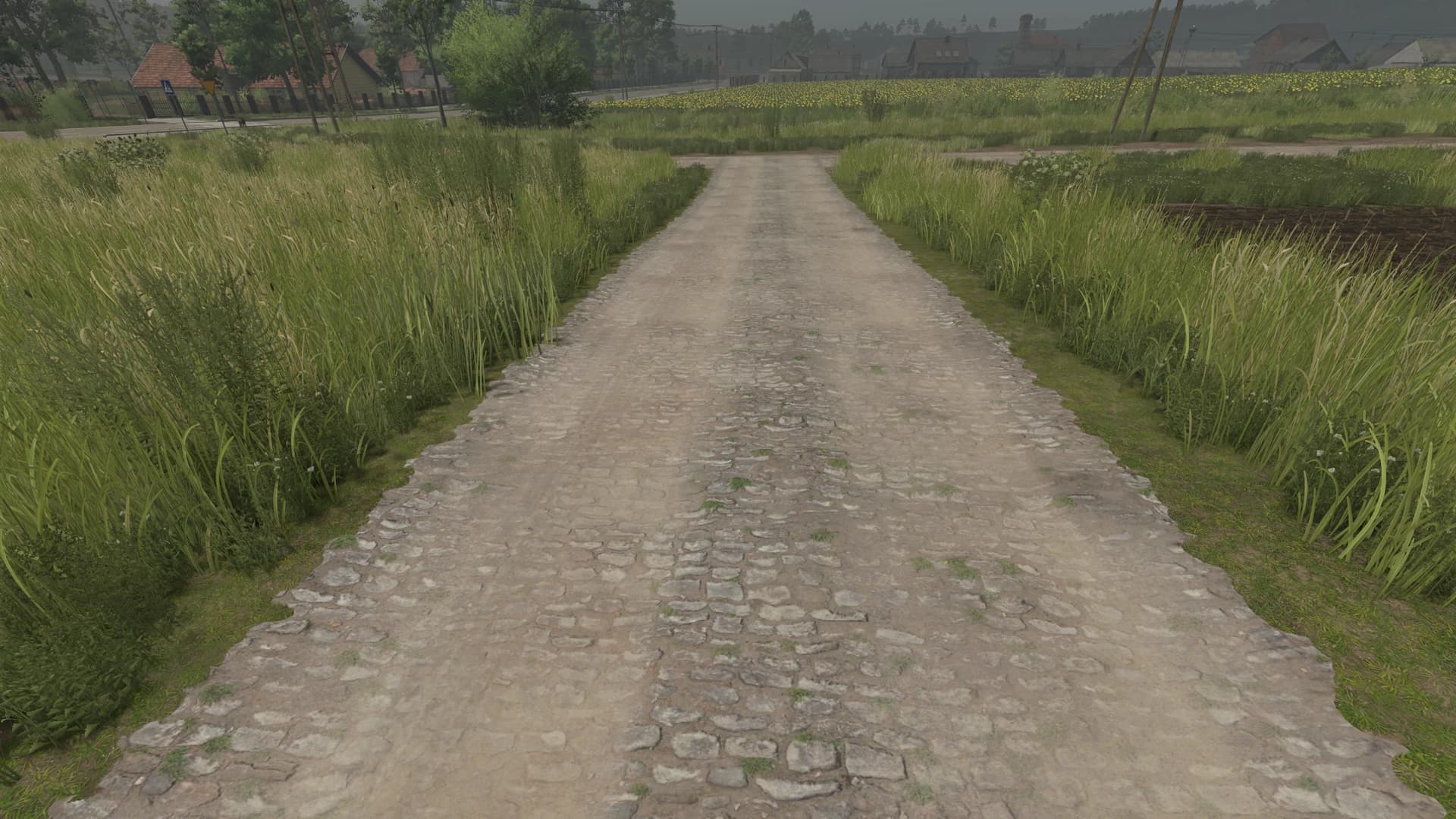 Mud and cobblestone Roads 4