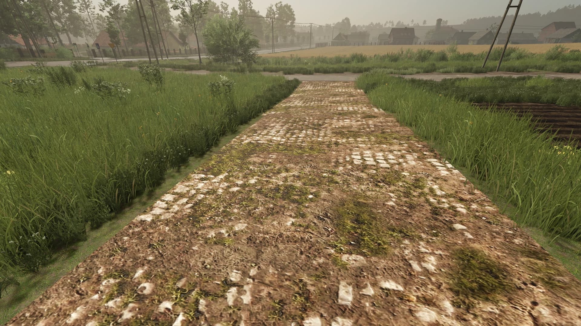 Mud and cobblestone Roads 3