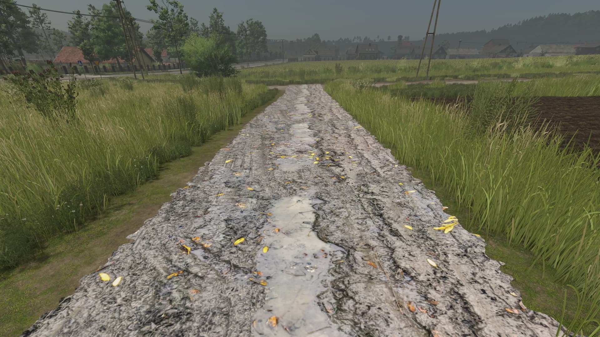 Mud and cobblestone Roads 2