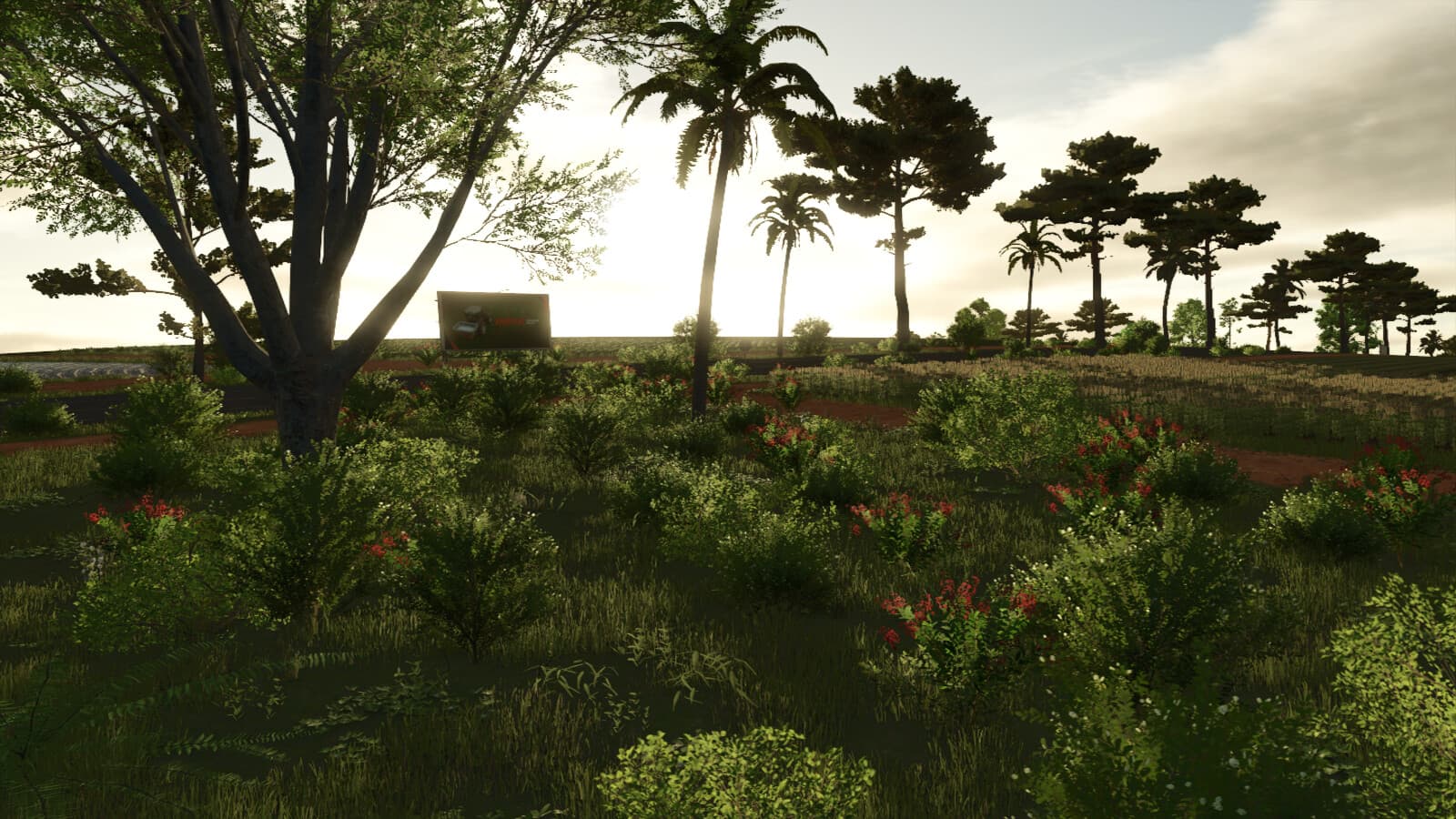 New Horizon Farm 3