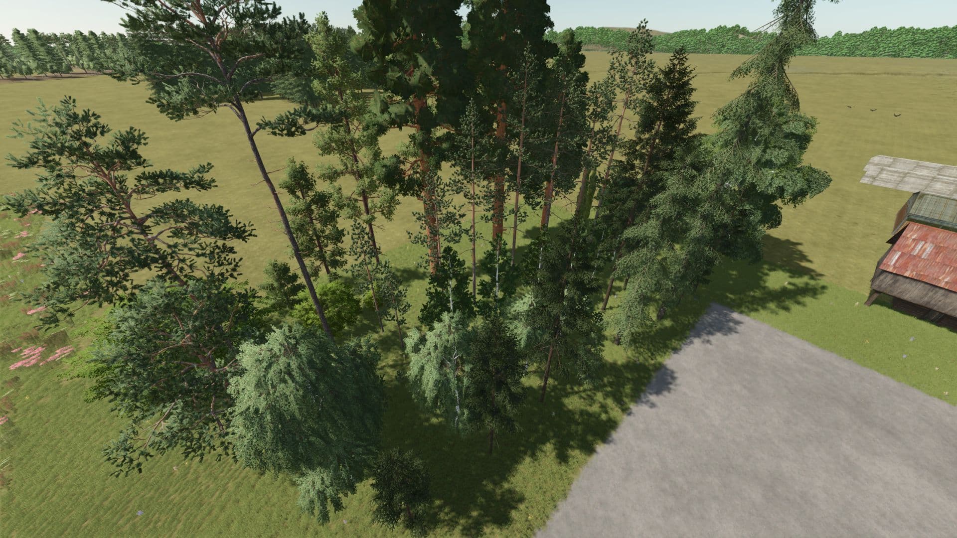 New trees types + new tree limit 4