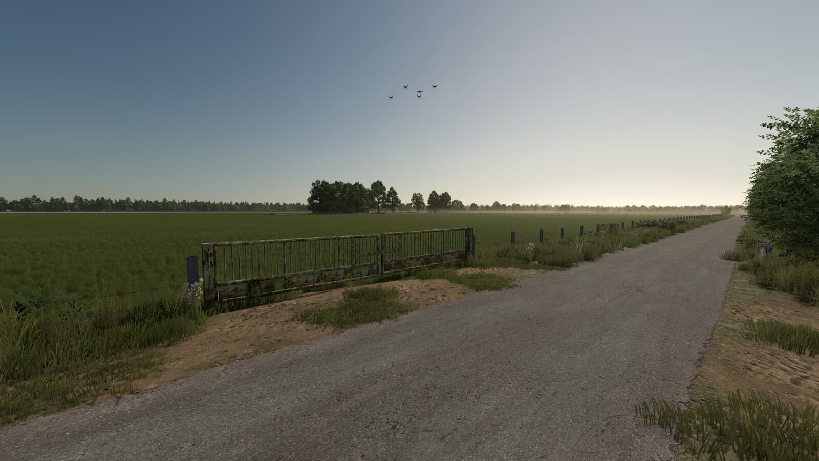 Old Wire Mesh And Pasture Fences 3