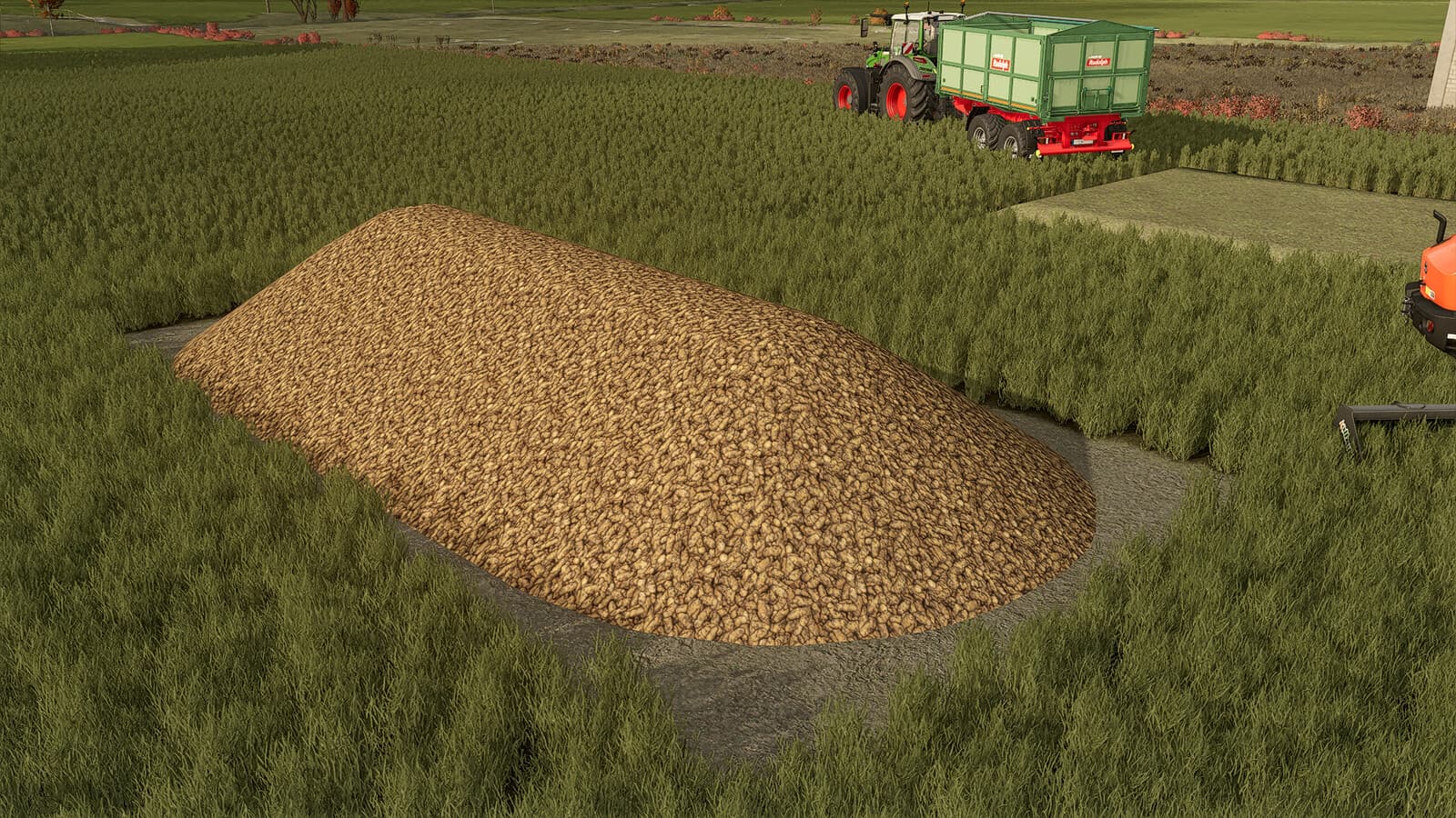 Potato Mound 3