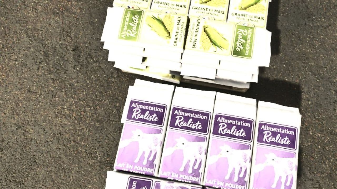 Realistic Food Pack 3