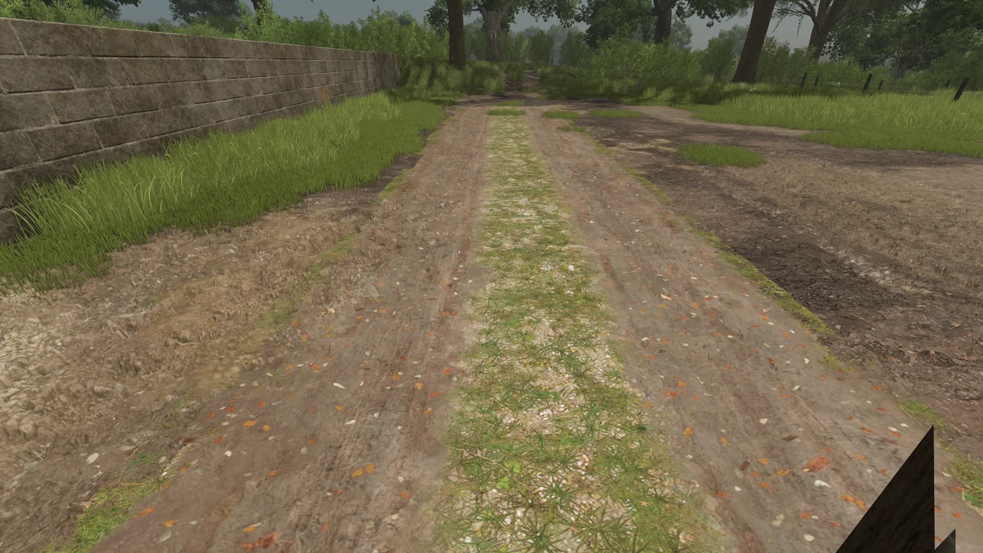 Roads for Pichonniere 5