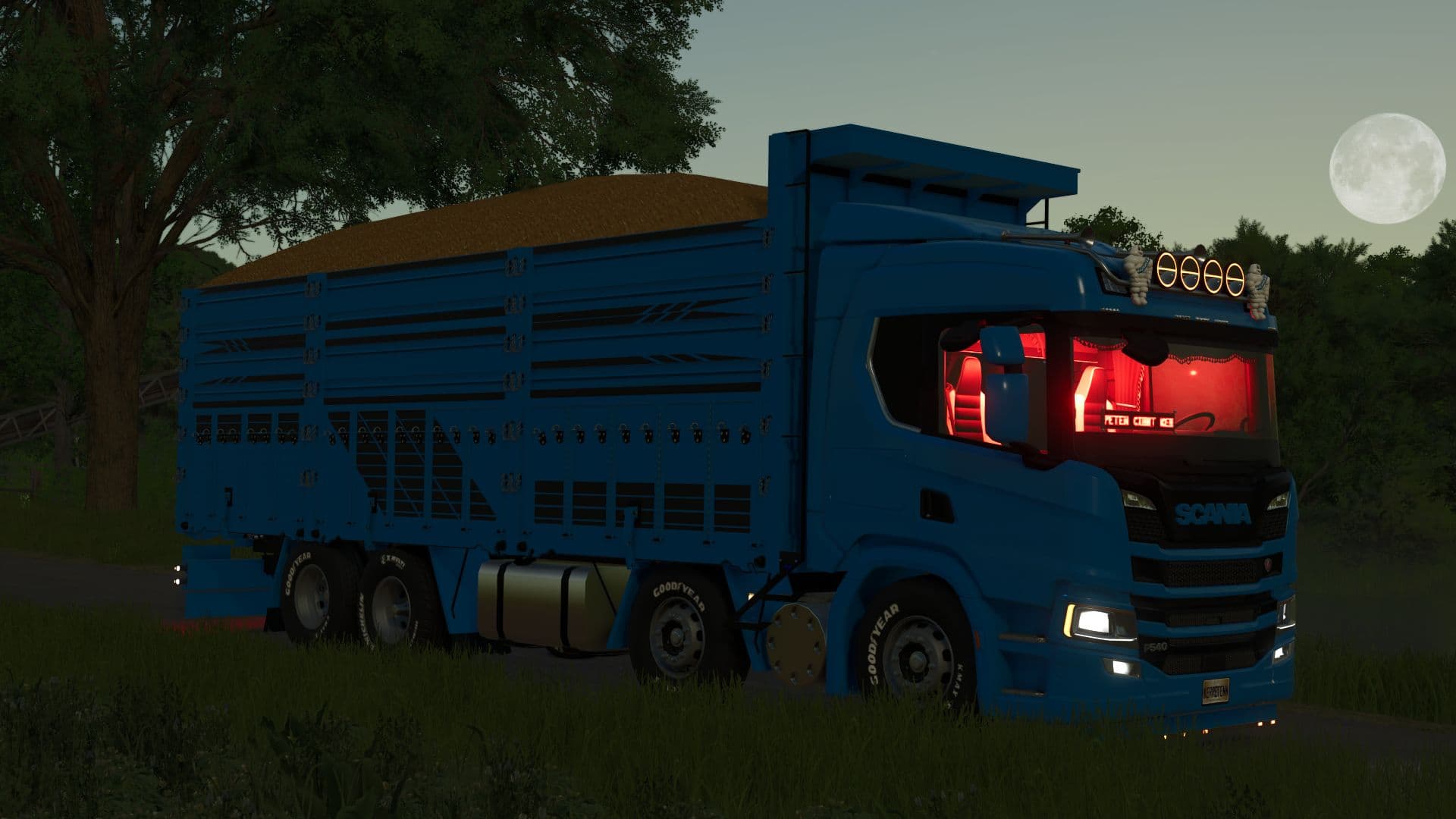 Scania NTG P320 KİRKAYAK 6